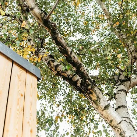 Carmen Eco-pod / Treehouse, Close To Cabot Circus Apartament Bristol