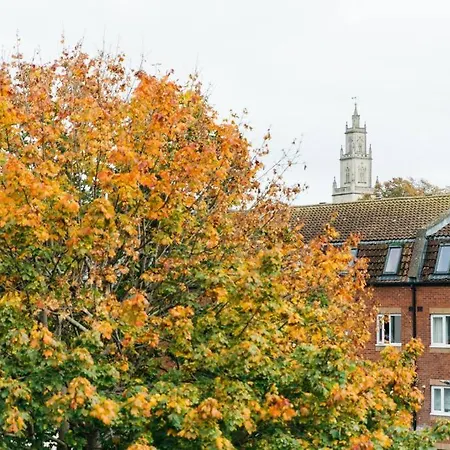Carmen Eco-pod / Treehouse, Close To Cabot Circus * Bristol