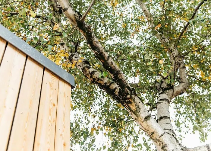 Carmen Eco-pod / Treehouse, Close To Cabot Circus Appartement Bristol